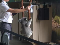 -可伦宾野生动物保护区