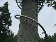 -黄海国家森林公园