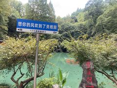 -灵栖洞天