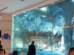 -帝企鹅自助餐厅•儿童岛•真企鹅(长隆企鹅酒店)