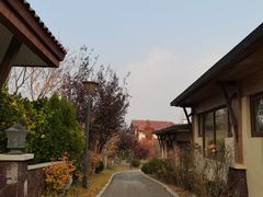 -大连金石滩绿发温泉假日酒店