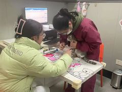 -伟伟宠物医院·瑞派猫友好医院·猫科(光谷店)