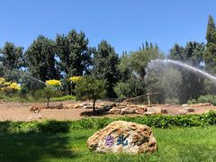 -北京野生动物园