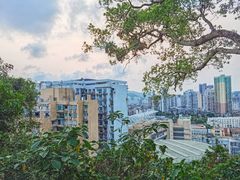 -东望洋炮台东望洋灯塔