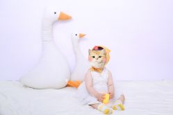 -童年时光专业儿童摄影(龙首店)