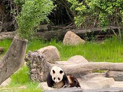 -宁波野生动物园