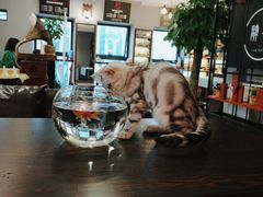 -肆兮眼镜·蔡司·徕卡战略合作店(大坪店)