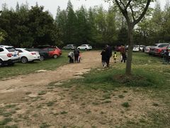 -上海滨江森林公园·停车场