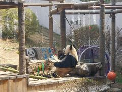 -大连森林动物园