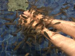 -大盘山温泉山庄