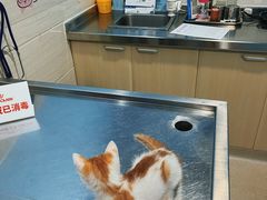 -哆趣宠物医院·眼科·内镜·急重症转诊中心(上海店)