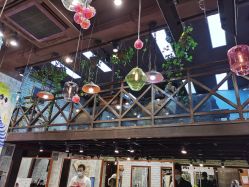 -T.1 hair salon烫染接发