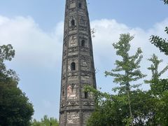 -上海佘山国家森林公园天马山园