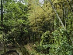 -莫干山风景区