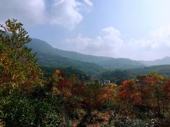 -塔川景区