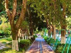 -西南交通大学(九里校区)