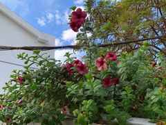 -赵小姐的店(鼓浪屿三友店)