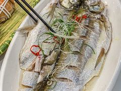 -蟹天蟹地农家菜·阳澄湖大闸蟹(浅水湾店)