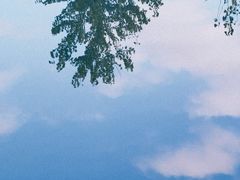 -盐城丹顶鹤湿地生态旅游区