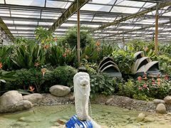 -南宫五洲植物乐园