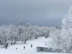 -大秃顶子山