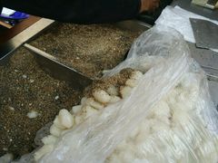 -叶氏麻糍(鼓浪屿店)