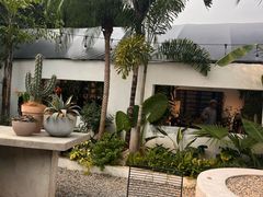 -自由生长植物工作室(深港花卉中心店)