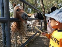 -长白岛森林公园