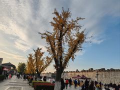 -西安汉城湖景区