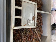 -拙味兄弟龙虾·江湖菜(和畅堂店)