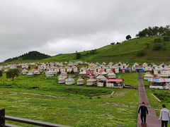 -关山牧场王师烤全羊