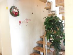 -净妍美肌专业净毛嫩肤连锁机构