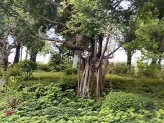 -凤岭儿童公园