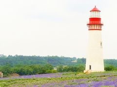 灯塔1-紫颐香薰山谷景区