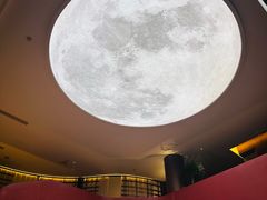 -皇冠明珠鱼翅楼(水上公园店)