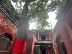 -店头古堡