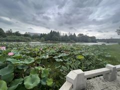 -长广溪湿地公园