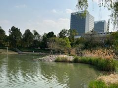 -美兰湖景区