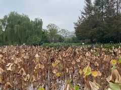 -沐仙湖湿地公园