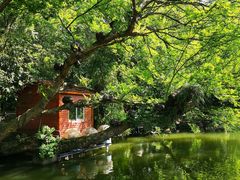 -江心屿景区