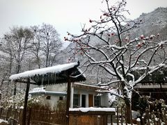 -抱龙峪