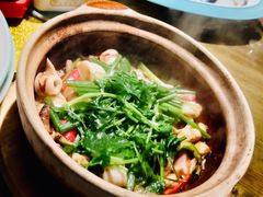 惹味啫糕鱿-大鸽饭(岗顶店)