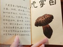 -滇野云南野生菌餐厅(陕西南路店)