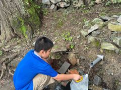 -阳台山自然风景区