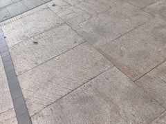 -徐家汇源景区-衡山公园