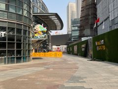 -Apple零售店(中街大悦城店)