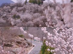-白水寺森林公园