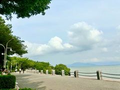 -深圳湾公园(南山区)