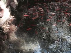 -水磨沟公园