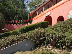 -东莞市大岭山森林公园